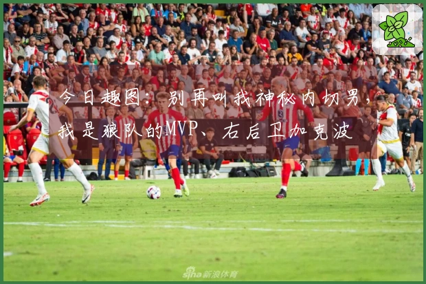 今日趣图：别再叫我神秘内切男，我是狼队的MVP、右后卫加克波