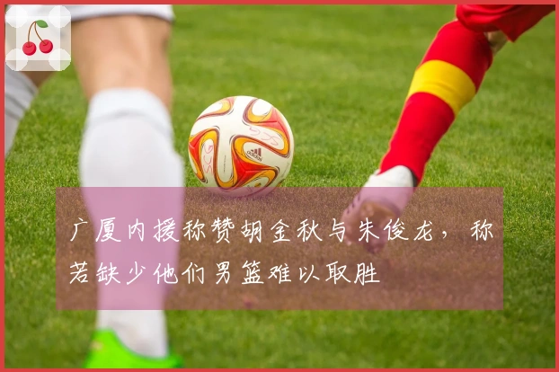 广厦内援称赞胡金秋与朱俊龙，称若缺少他们男篮难以取胜